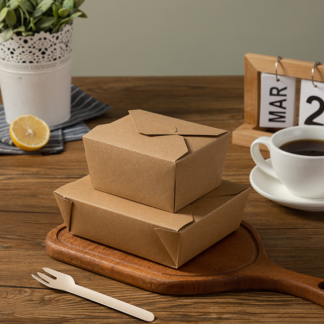 Brown Kraft Takeout Boxes Buy ecofriendly food container lunch box